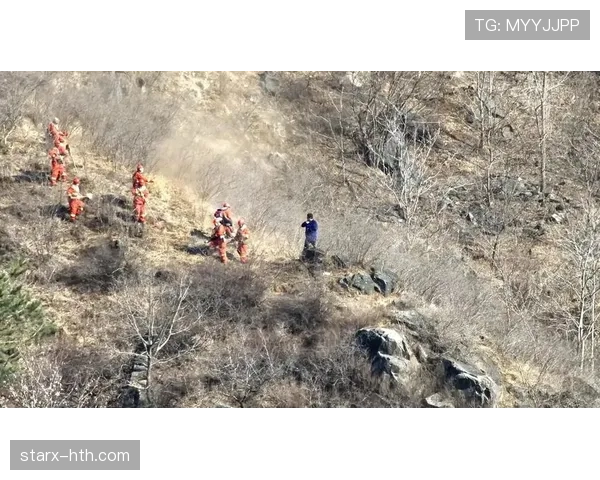 帕利尼亚：防线前屏障的战术价值解析